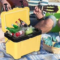 Mini Refrigerator Camping Car Dual Purpose Refrigerator Bottle Cooler Ice Pack Cooler Box Incubator With Handle Portable Outdoor 2