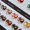 Eleanos High End 32PCS 9D Laser Magnetic Gel Nail Polish Set With Color Card Luxury Cat Eye Gel SoakOff UV LED Nail Varnish 15ml 4