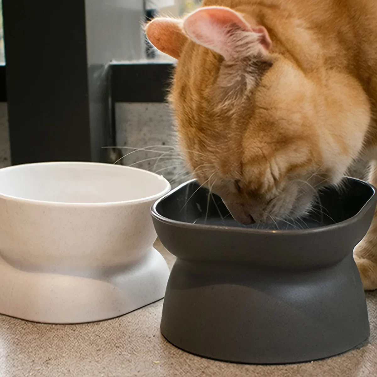 1pc-Pet Inclined Feed Bowl