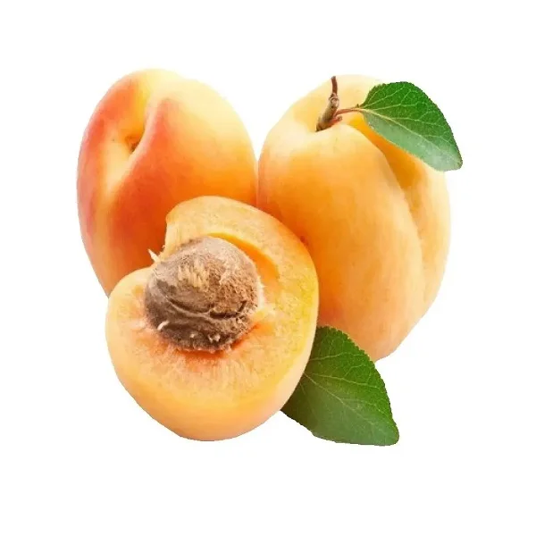 Xbees Apricot Store