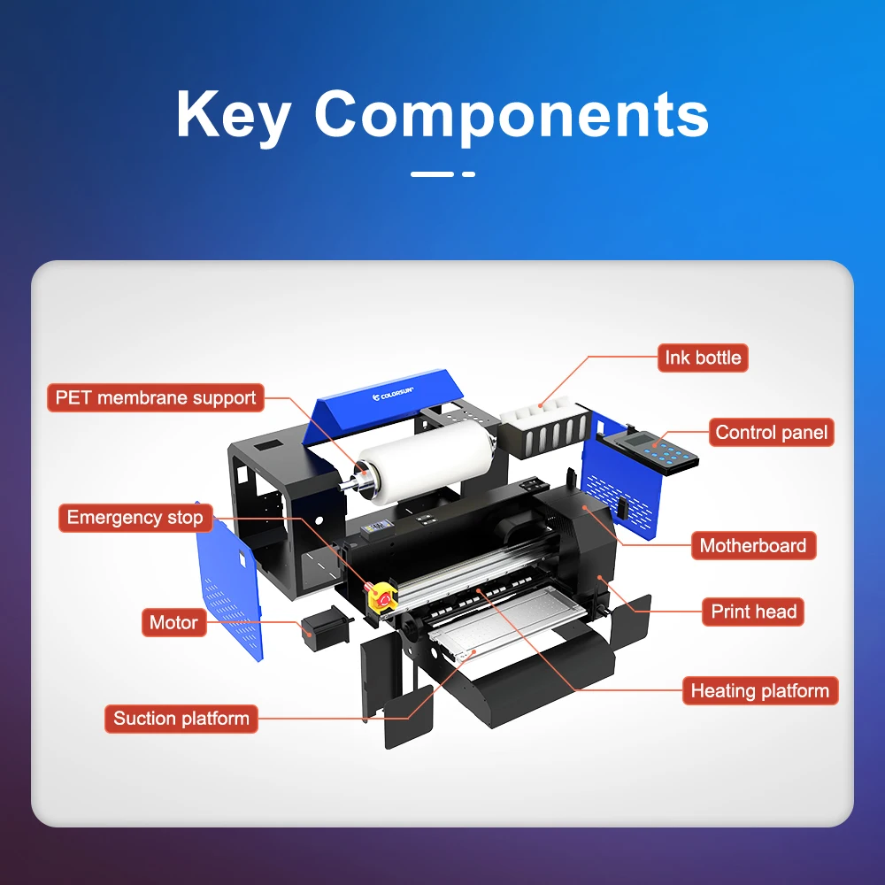 A3 DTF Printers with Dual XP600 Printhead A3 DTF Printer Direct to