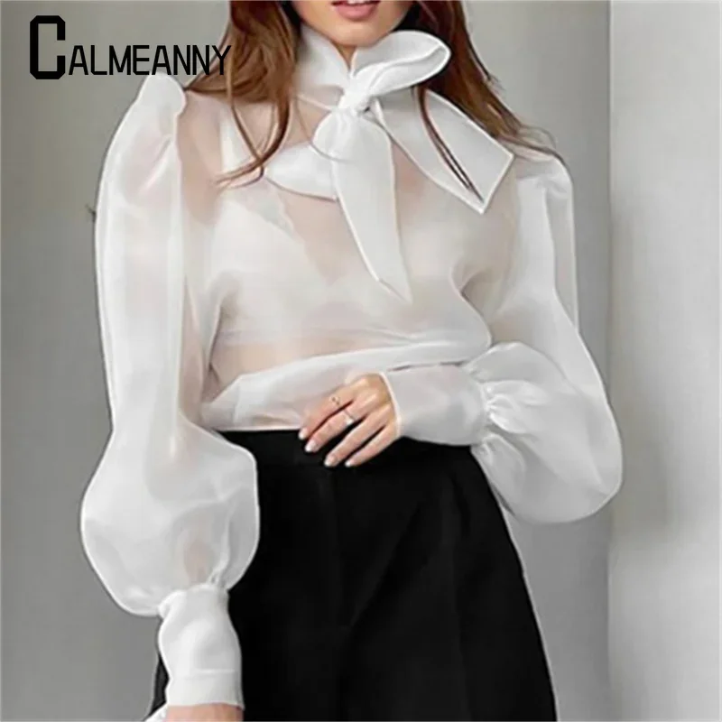 

Women Shirts 2023 Spring Summer Fashion Versatile Chiffon Elegant Long Lantern Sleeve Mesh See-Through Blouse Bow Sheer T-shirt