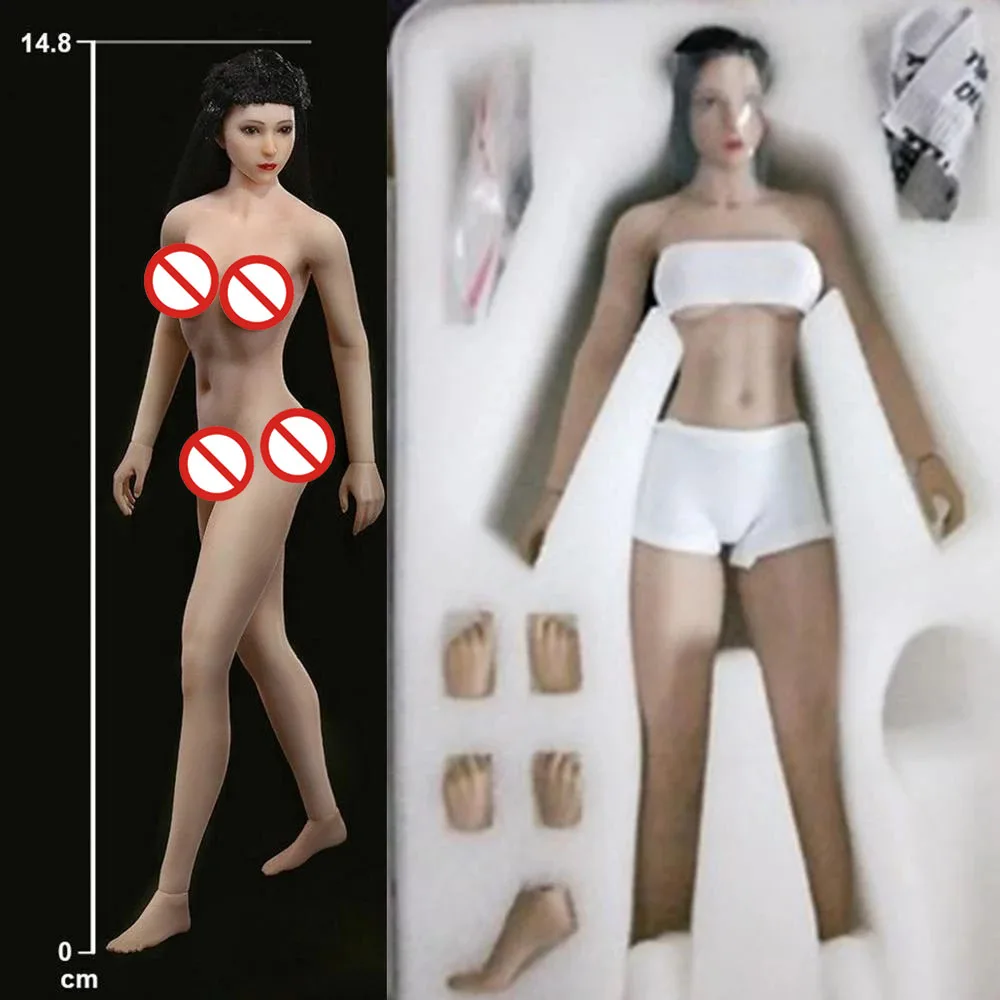 

TBLeague PHMB2018-T01A T01B 1/12 Pale Suntan Seamless Medium Breast Girl Body 6'' Female Action Figure Model Hobby Collection