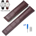 Brown-no buckle