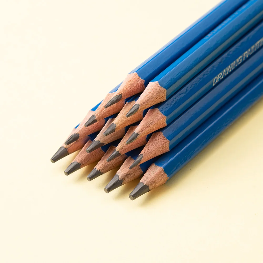 Professional Sketch Charcoal Pencils Set 2H-10B 14Pcs for Artists Beginners Wooden Lead Drawing and Sketching Art Supplies