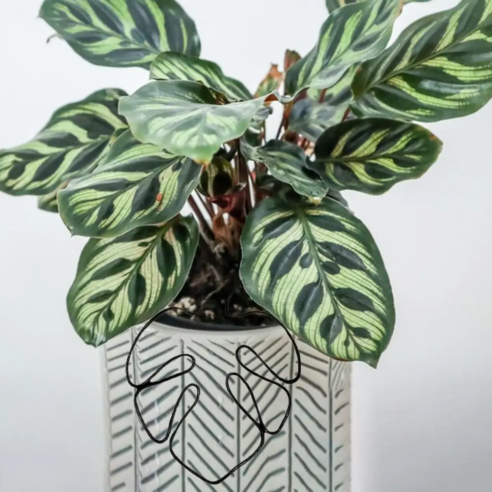 Plant Stand Rustproof Corrosion Resistant Simple Installation Monstera Shaped Plant Support Stake Flower Shaped Support Pile
