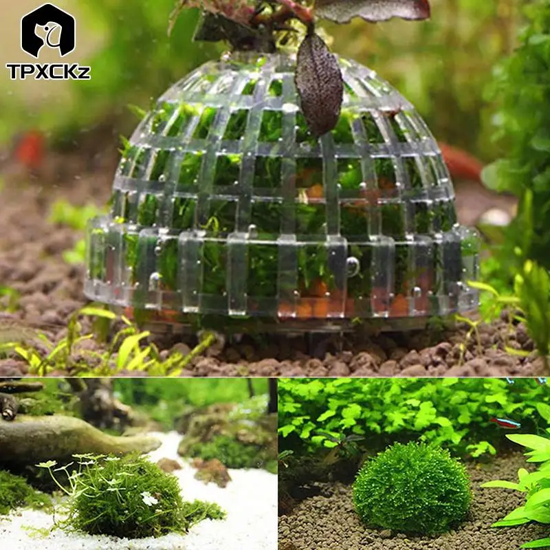 

New Aquatic Pet Supplies Decorations Aquarium Natural Moss Ball Live Plants Filter Pet Fish Tank Decor Accessories