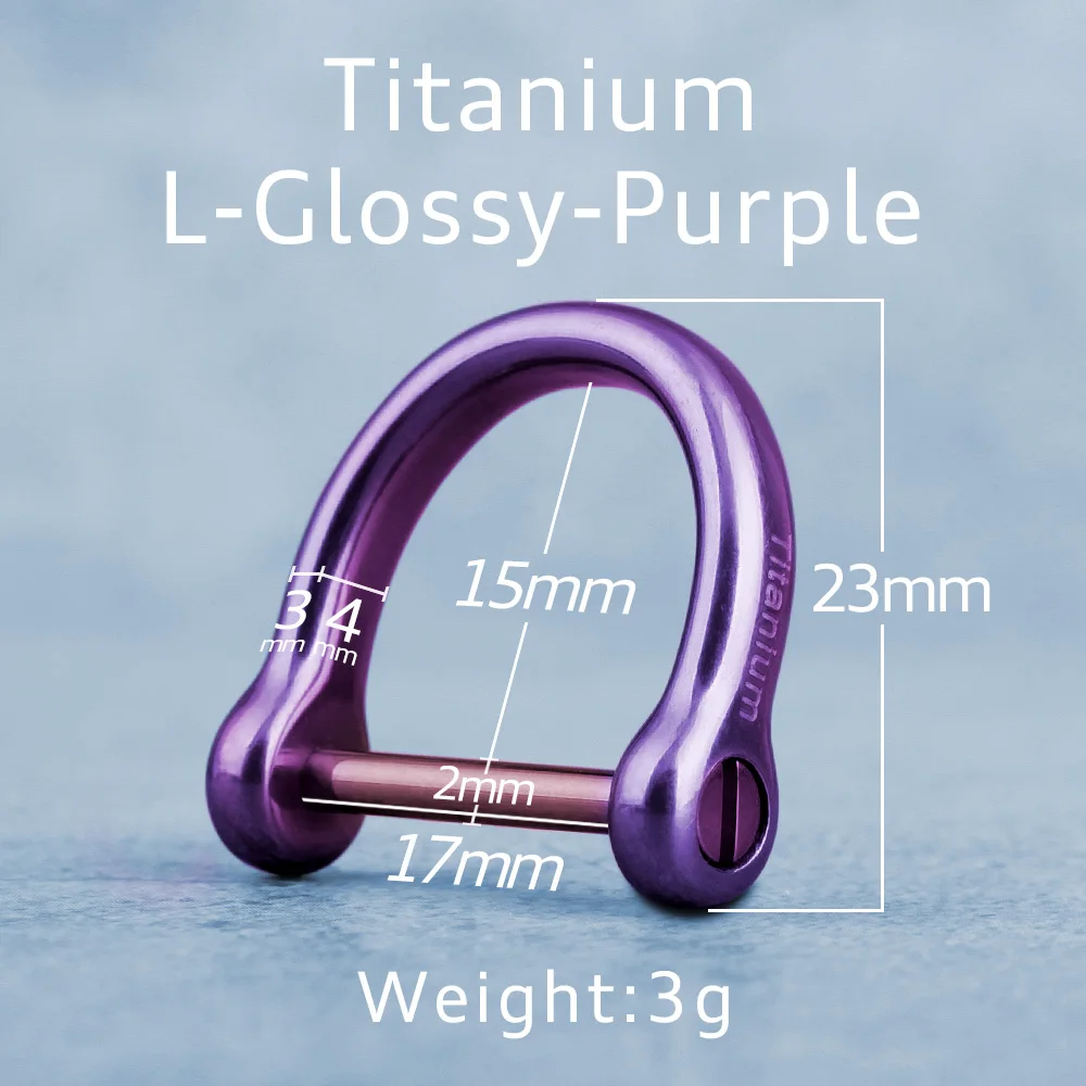 Titanium Luxury Keychain with Blue Matte Glossy Finish - Elegant Horseshoe Buckle Pendant Gift