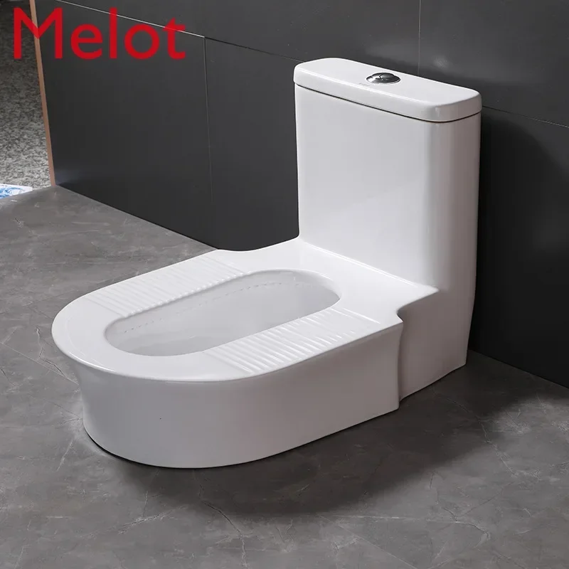 Inodoro en cuclillas para el hogar, silla desodorante de cer&aacute;mica modificada, tanque de agua, inodoro en cuclillas integrado