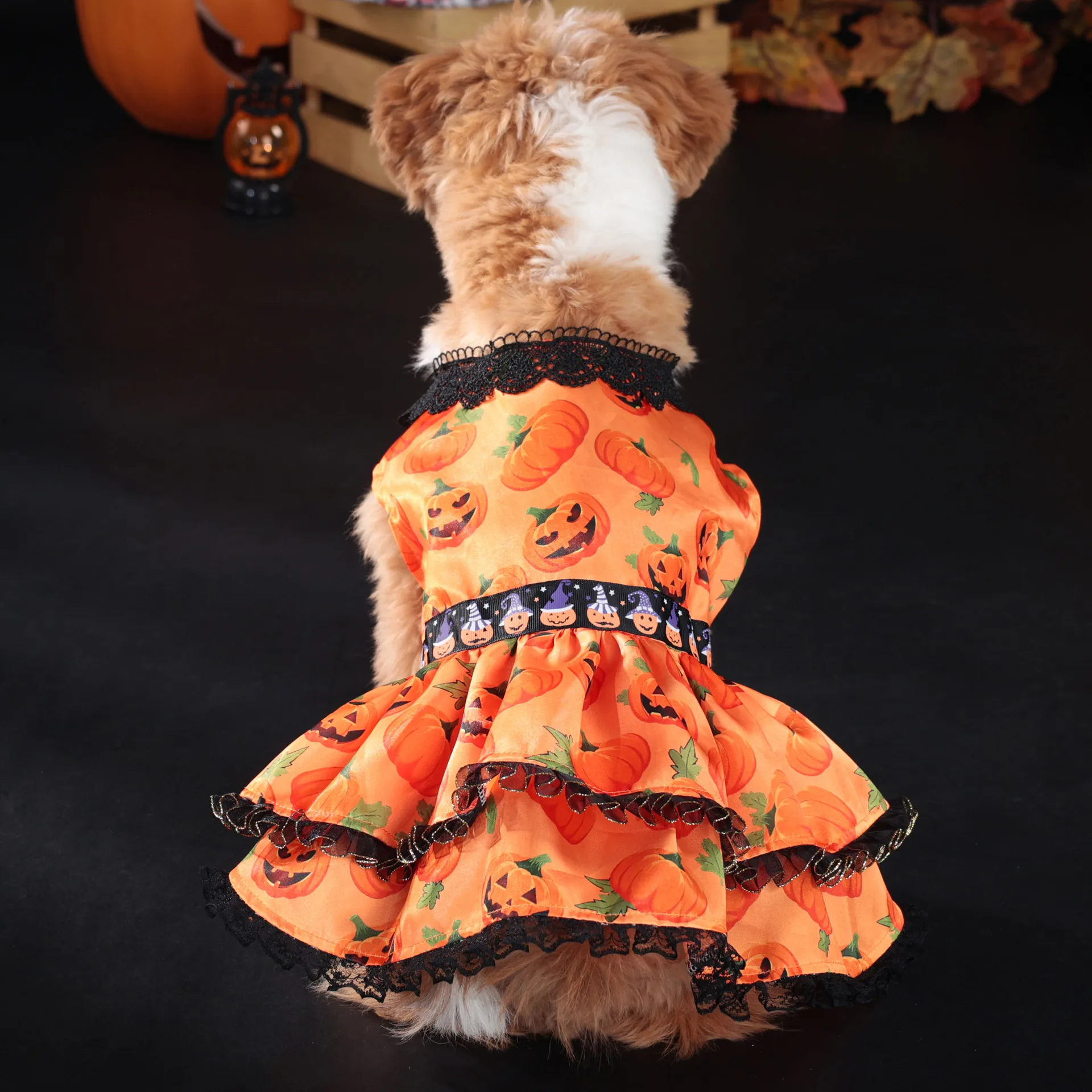 Robe d’Halloween pour Chihuahua - Costume Citrouille - 2025 - Vêtement et accessoires pour chiens - Doglovedesign