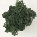 Grass green