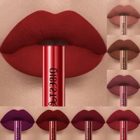Matte Liquid Lipstick Waterproof Long Lasting Velvet Lip Gloss Tint Tube Matte Nude Pigment Red Lipgloss Lips Makeup 2