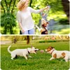 Cat Dog Rope Toys Cleaning Teeth Grinding Teeth Interest Interactive Wear Resistant Knot Toy Play Entertainment Pet Supplies 6