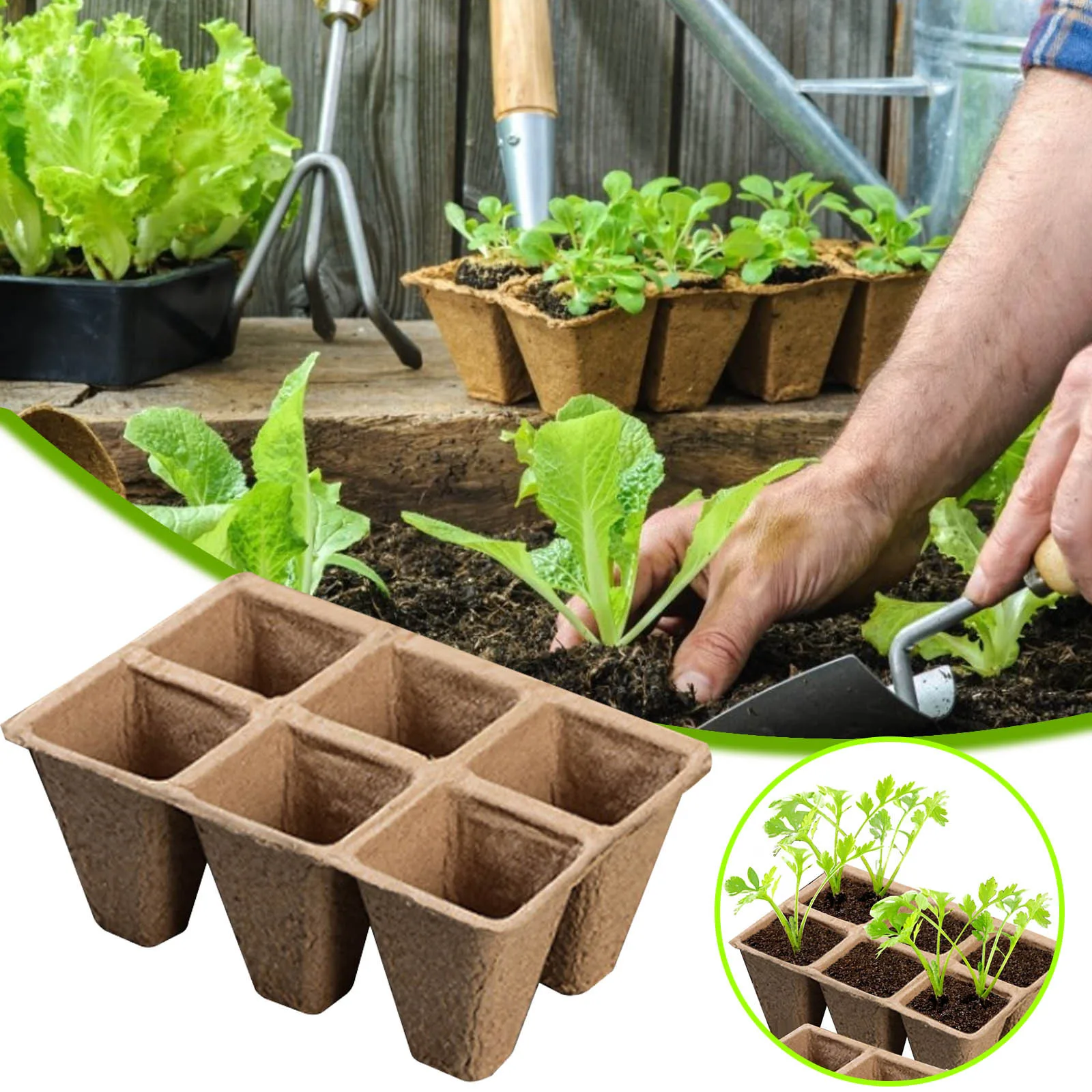 Seed Starter Tray 10/20Pcs Biodegradable Peat Pots