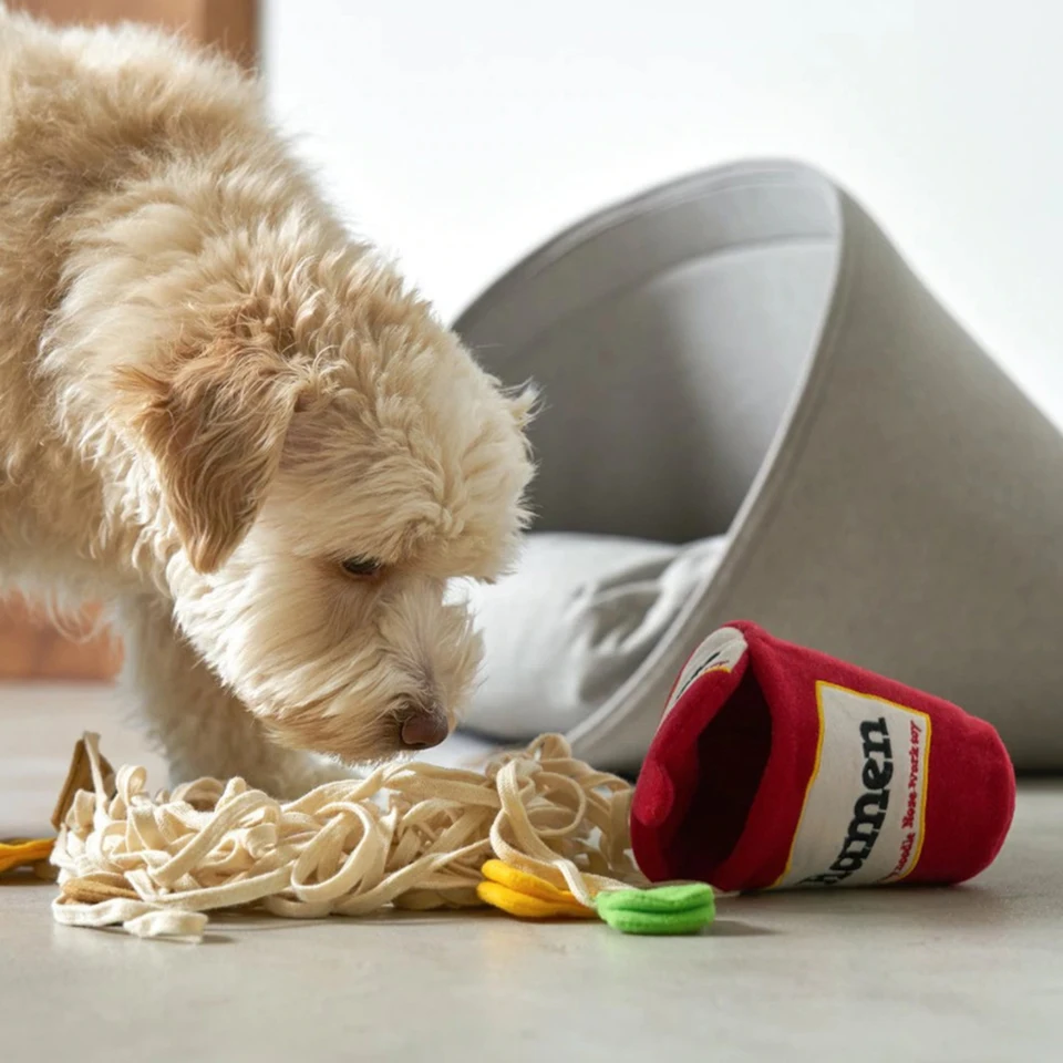 Interactive Noodle Shape Treat Dispensing Dog Toy