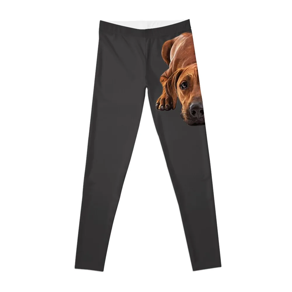 

Rhodesian Ridgeback Puppy Eyes Leggings sportswear for gym Legging sexy woman Womens Leggings