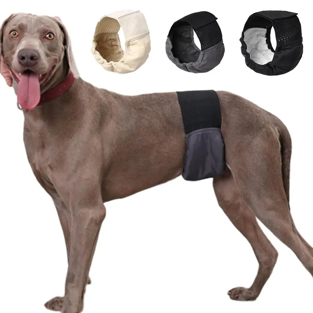 

Новые подгузники для кобелей премиум-класса, моющиеся герметичные физиологические штаны, товары для питомцев для маленьких, средних и больших собак