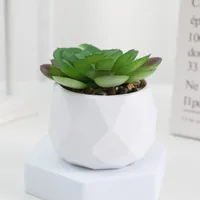 Artificial Succulent Bonsai Plants Simulation Succulents Mini Evergreen Bonsai Cactus Succulent Plastic Fake Plants Decor 4