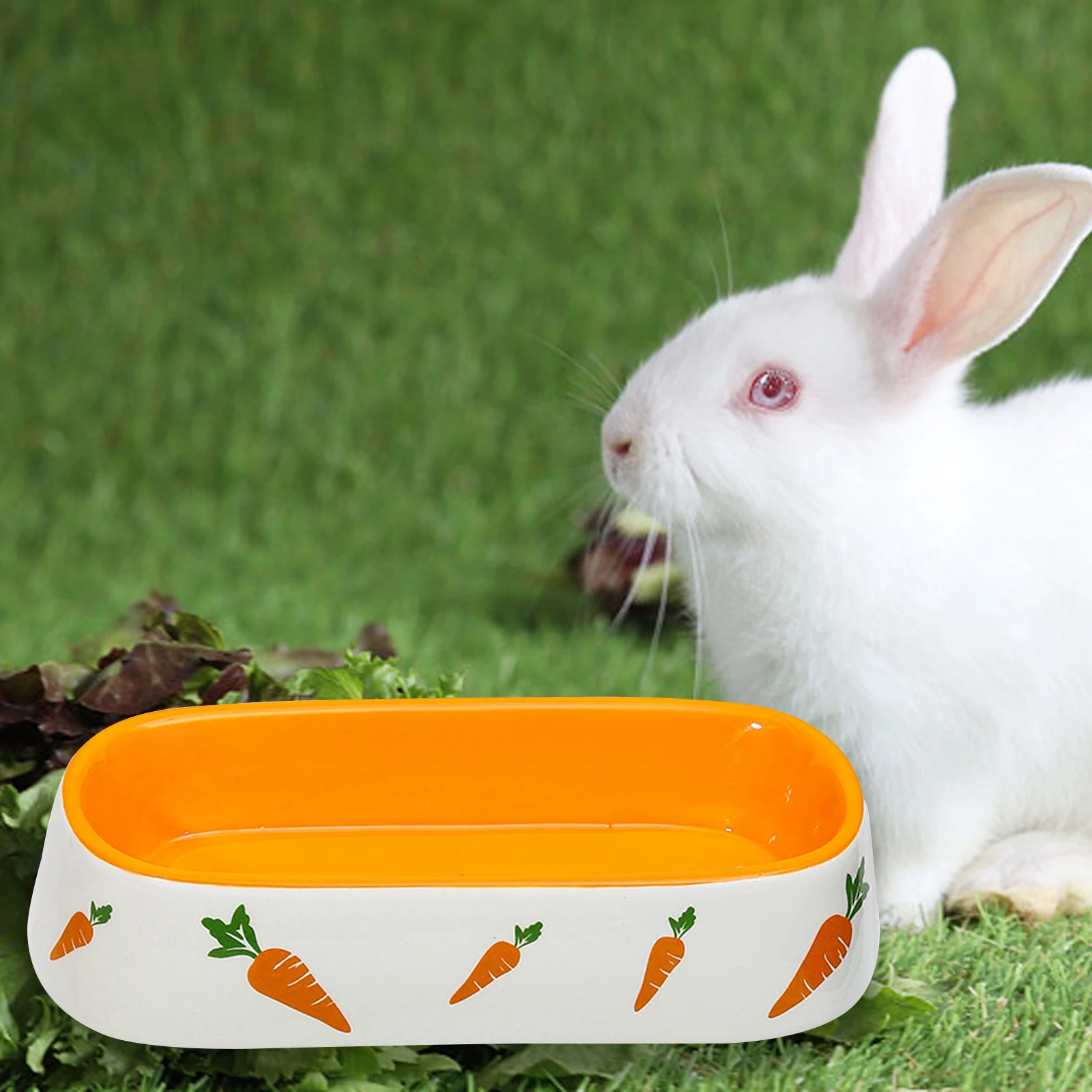 Carrot Rabbit Feeding Bowls Rabbit Feeder Bowl Hamster Ceramic