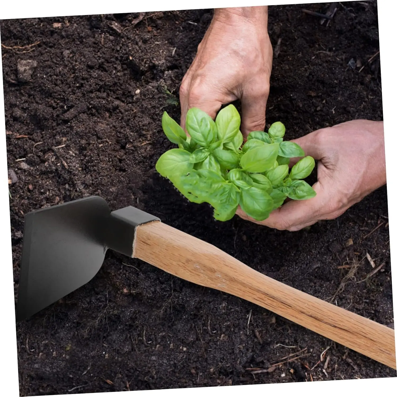 Handle Farming Hoe Garden Iron Convenient Lightweight Hand Head Digging Wooden Gardening Weeding Tool Flower  Agricultural Soil  3