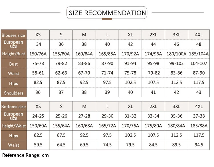 AMII Minimalism Chiffon Shirts & Blouses New Elegant Youth Woman Blouses Loose Fashion Casual Chic Tops Female Clothing 12612026