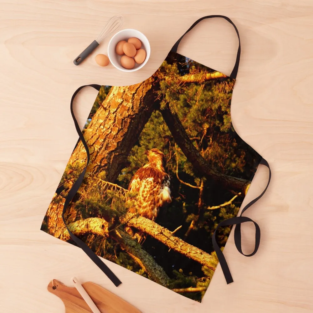 

Golden Eagle Apron christmas kitchen cloths work ladies Chef Accessories Apron