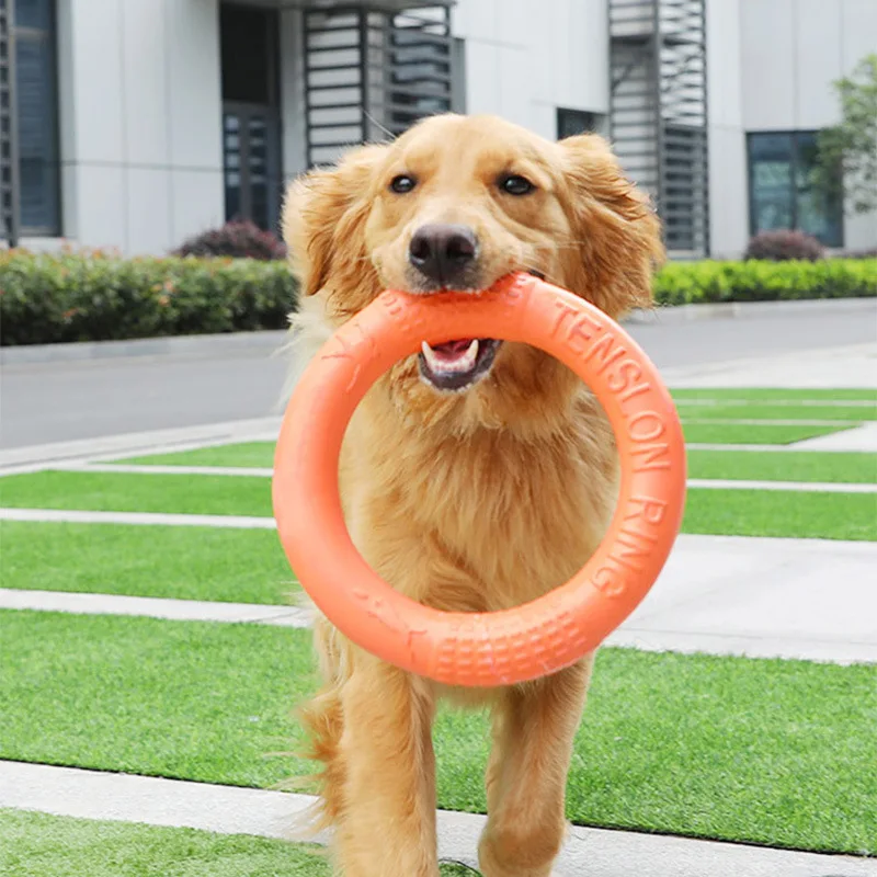 

Dog Toy Training Ring Puller Puppy Flying Disk Aggressive Chewing Toys Outdoor Pet Game Anti-Bite Floating Interactive Supplies