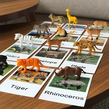 Montessori Animal Matching Cards 1
