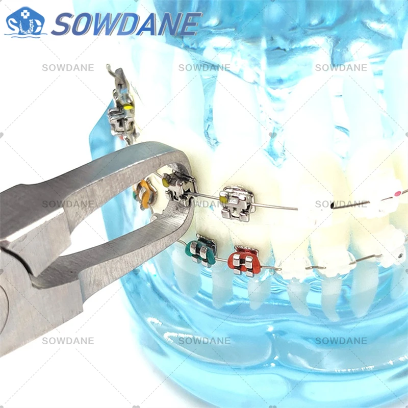 Ortodonzia Pinza per la Rimozione dei Brackets TC Pinze Dentali Togli