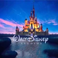 Affu-Disney Authorized Store Store
