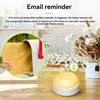 Mailbox Alarm Mail Chime Notification System-Mail Alarm 800 Ft Long Range Wireless Mailbox Alert With LED Light Flashing 2