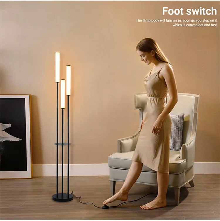 Dimmable Floor Lamp with Remote