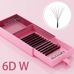 DIYDAY Natural Soft Blooming Eyelash Extensions - W Shape 3D to 8D Premade Fans - 8-15Mix (6D W LASH EXTENSION)