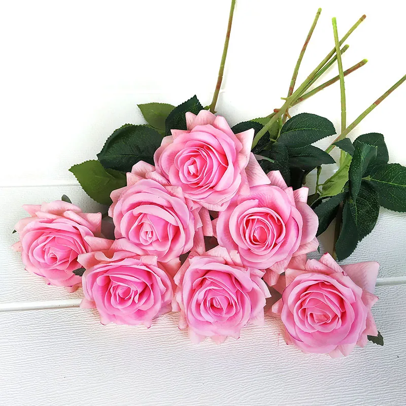 pink rose