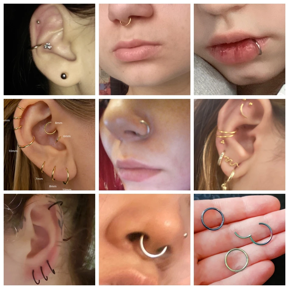 G23 Titanium Eye CZ Pave Face 2 Rows CZ Hinged Segment Hoop Nose Ring Clicker La G23 Titanium Eye CZ Pave Face 2 Rows CZ Hinged Segment Hoop Nose Ring Clicker La