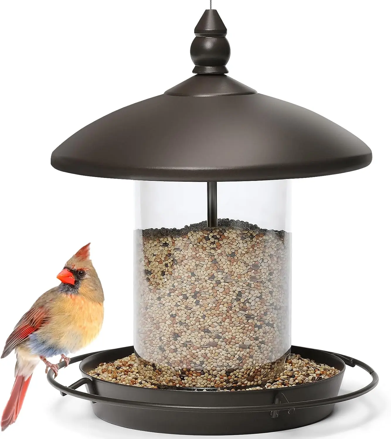 Metal Roof Bird Feeder - Chew Proof for Outdoor Hanging Wild Bird Seeds,Bronze Food Container Pet Supplies