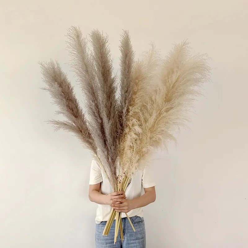 110-120Cm Grote Lange Pluizige Pampas Gras Natuurlijke Gedroogde Bloem Voor Thuis Bruiloft Decor Bloem Decoratie Boeket Cadeau Arrangement