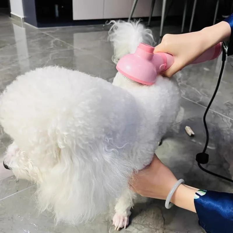 

Pet Grooming Hair Dryer with Brush Hair Dryer for Dogs Without Noise Negative Ion Ample Power 360 Be in A Draught Tools