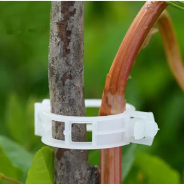 Műanyag Növényi Klipek Támogatók Összekapcsolják Az Újrafelhasználható Védelem Oltó Rögzítő Szerszám Kertészeti Készleteket A Zöldség Paradicsomhoz - Image 4