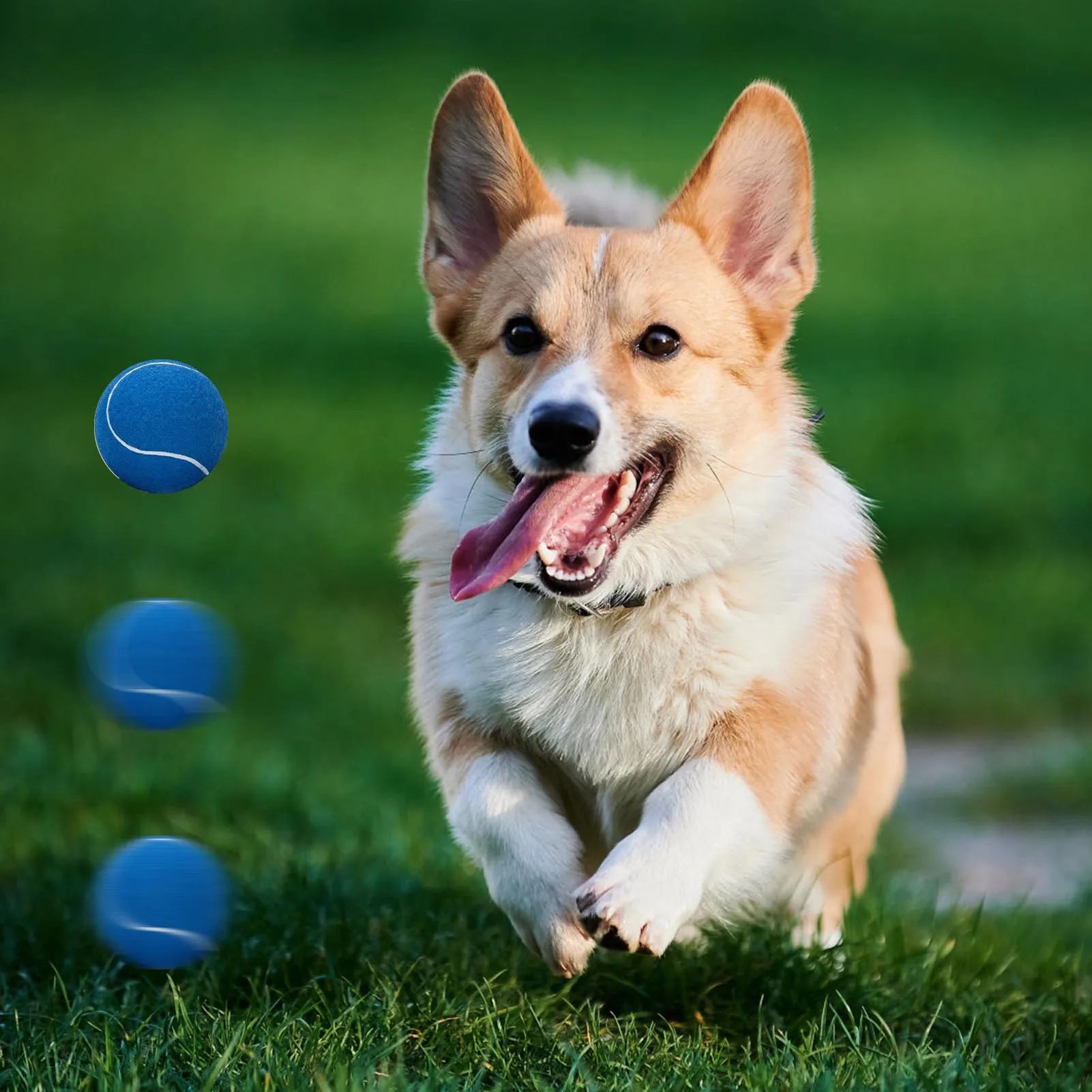 12pcs Tennis Balls with Mesh Carry Bag High Elasticity Professional Tennis Training Game Ball Outdoor Dogs Chase Training Toys
