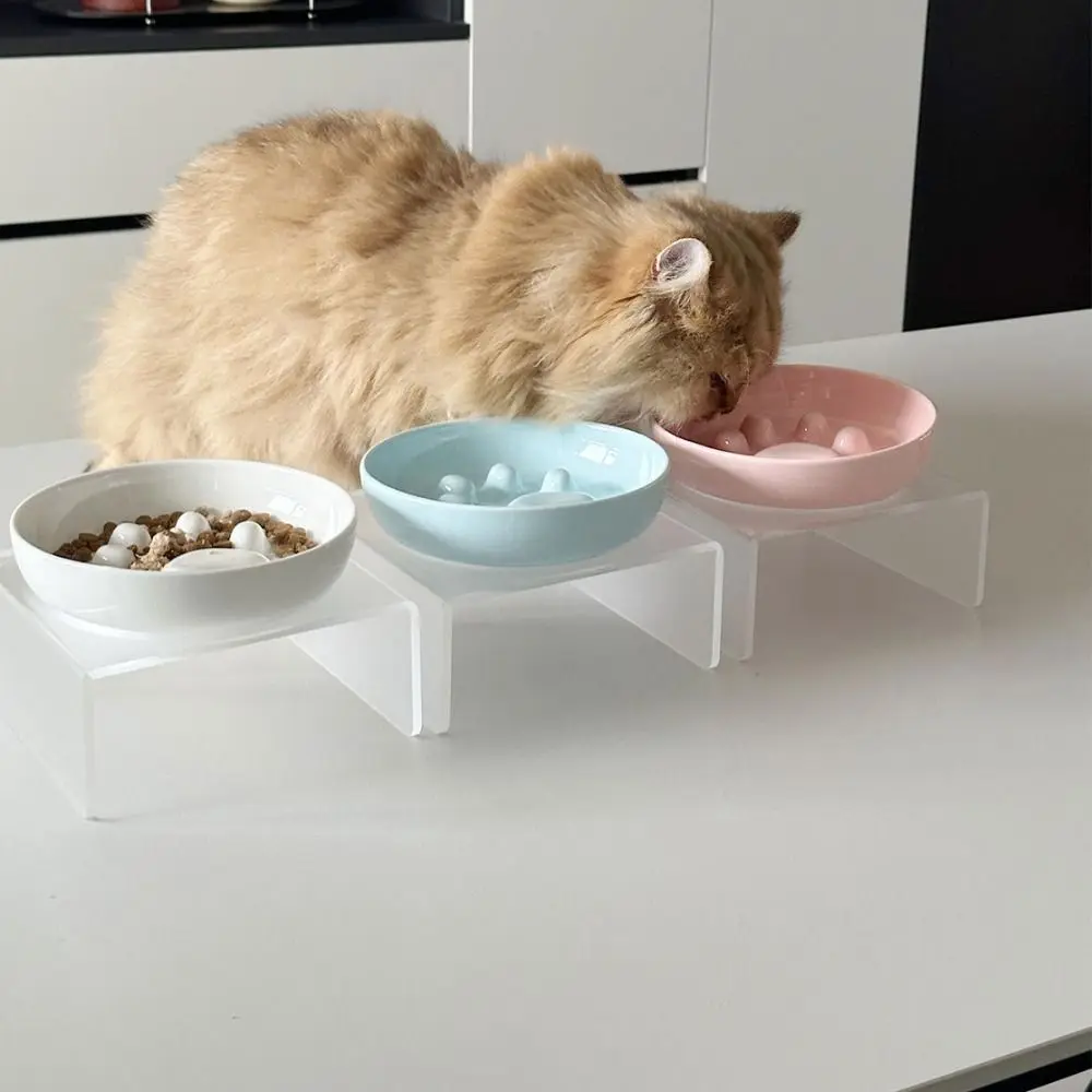 Ceramic Cat Food Water Bowl Non-Slip Anti-flip Cat Slow Food Bowl Anti-vomiting with Acrylic Stand Pet Feeder Bowl