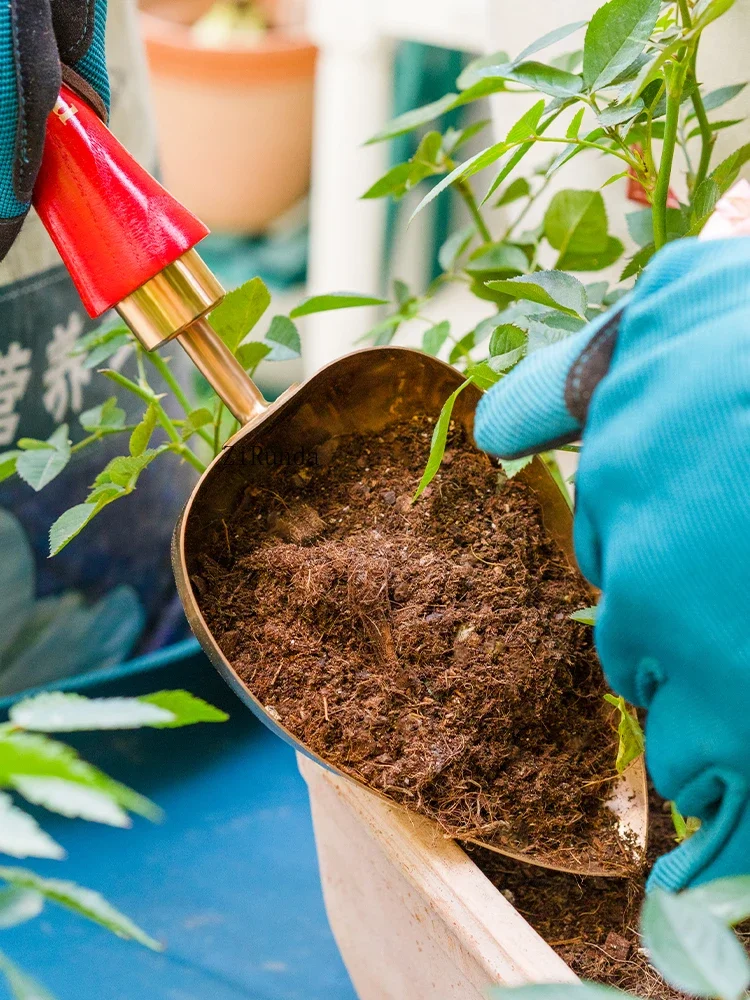 ~Heart-shaped potting spoon, gardening tools, stainless steel small shovel, changing pots, changing soil and planting flowers 5
