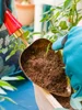 ~Heart-shaped potting spoon, gardening tools, stainless steel small shovel, changing pots, changing soil and planting flowers 5