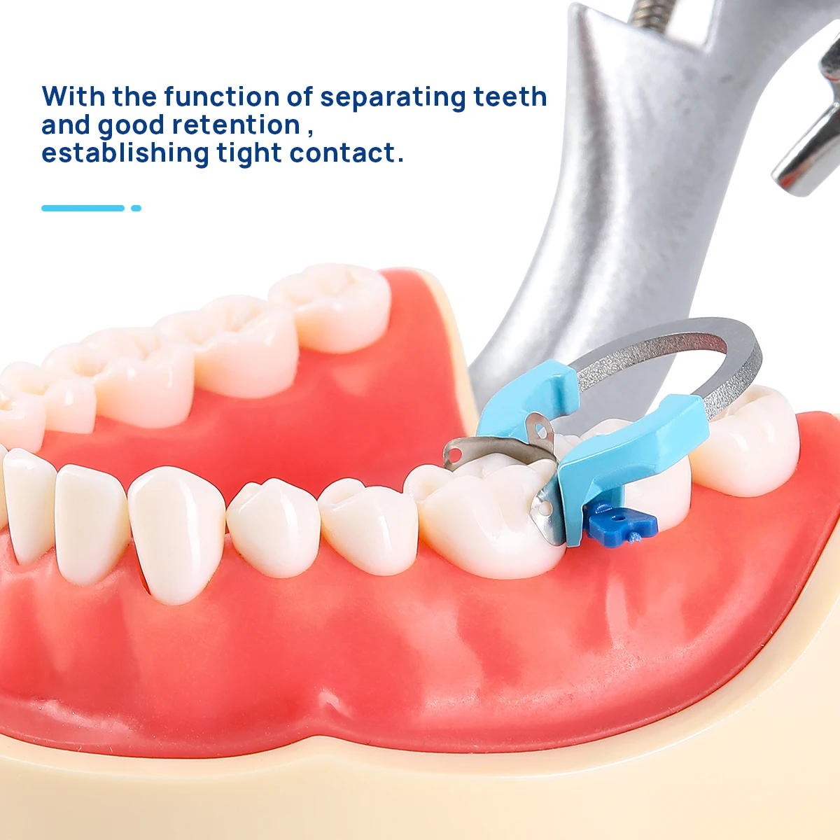Matrice Dentaire Sectionnelle En Titane - Anneau Standard Étroit - 1 Pièce - Neuf (Pour Dentisterie)