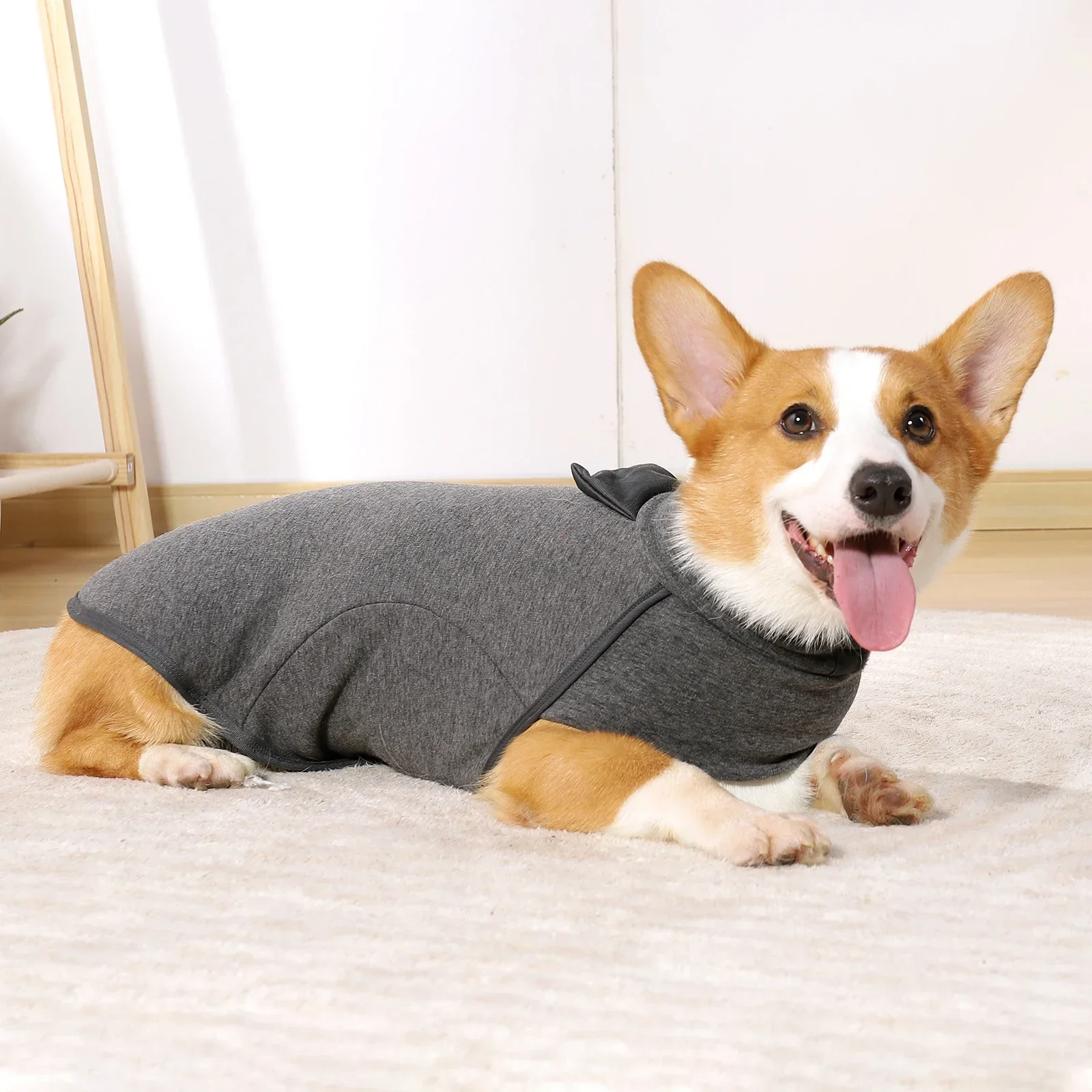 

Autumn Winter Simple Style Dog Clothes Corgi Fighting Clothes High Neck Fleece Sweatshirt Comfortable and Warm Pet Products