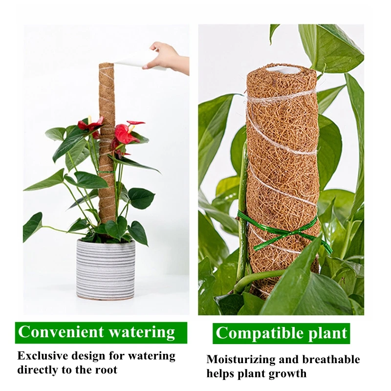30/40/50CM Plant Climbing Pole Palm Stick Vine Support Extension Potted Plants Support Stakes Moss Pole Garden Tool Flower Decor