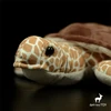 Eaglemouth Tortoise High Fidelity Anime Cute Plushie Hawksbill Turtle Plush Toys Lifelike Animals Simulation Stuffed Doll Kawai 5
