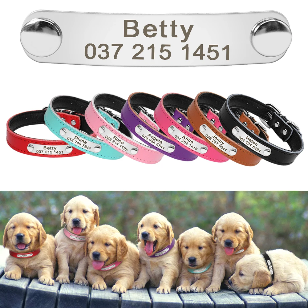 Soft Suede Leather Personalized Pet Cat Dog Collar With Custom Engraved ID Tag E - Foto 5