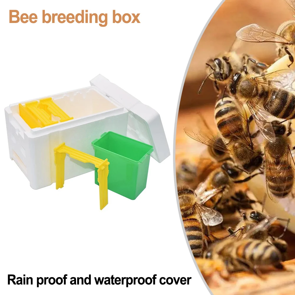 Queen Bee Mating Box Foam Bee Hive Box Mini Nucleus Hive Breeding Harvesting Breeding Case Beekeeping Equipment beekeeping tools bee breeding box