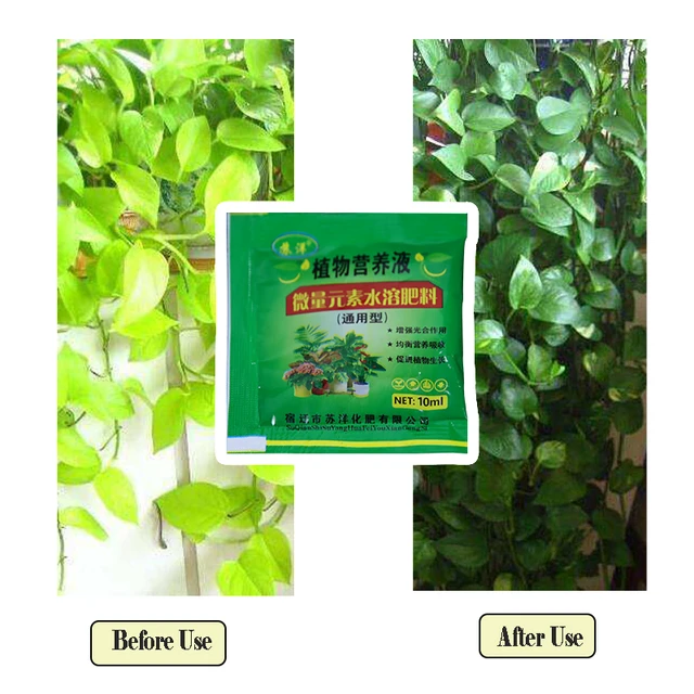 10 Db Növényi Tenyésztési Tápanyagoldat Növény Növekedése Magas Koncentrációjú Műtrágya Virágok És Zöldségek Univerzális Lendületes Elemek - Image 6